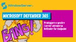 Microsoft Defender Endpoint Server